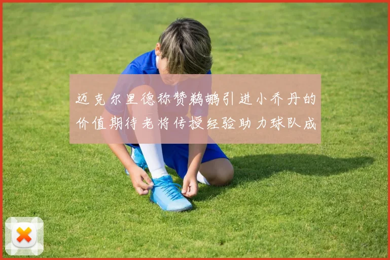 迈克尔里德称赞鹈鹕引进小乔丹的价值期待老将传授经验助力球队成长